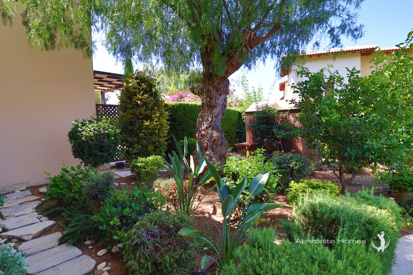 Apartment For Sale  in  Aphrodite Hills - Theseus