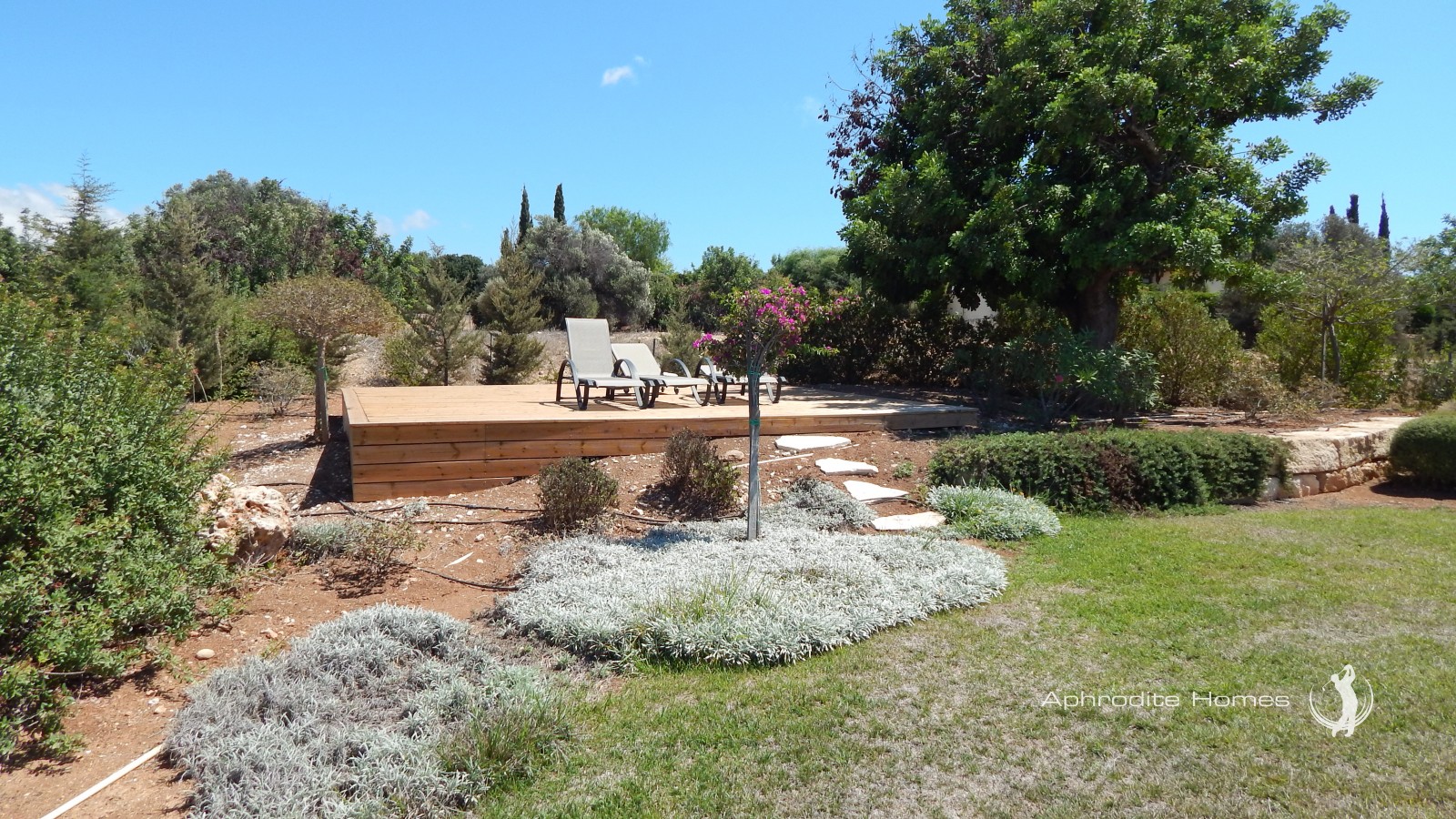 Villa For Sale  in  Aphrodite Hills