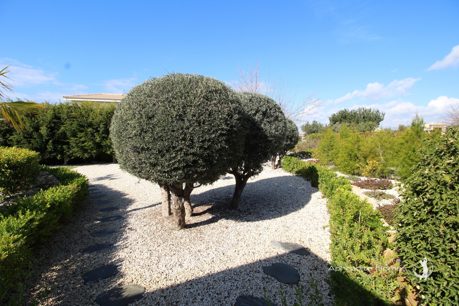 Villa For Sale  in  Aphrodite Hills